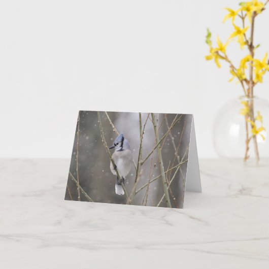 Blauwe Vlaamse gaai in de Sneeuw Kaart (Gele Bloem)