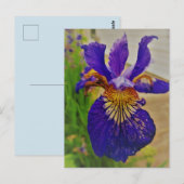 Blauwe Vlag Iris Fleur de Lys Frans Canada Quebec Briefkaart (Voorkant / Achterkant)