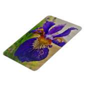 Blauwe Vlag Iris Fleur de Lys Frans Canada Quebec Magneet (Linkerzijde)