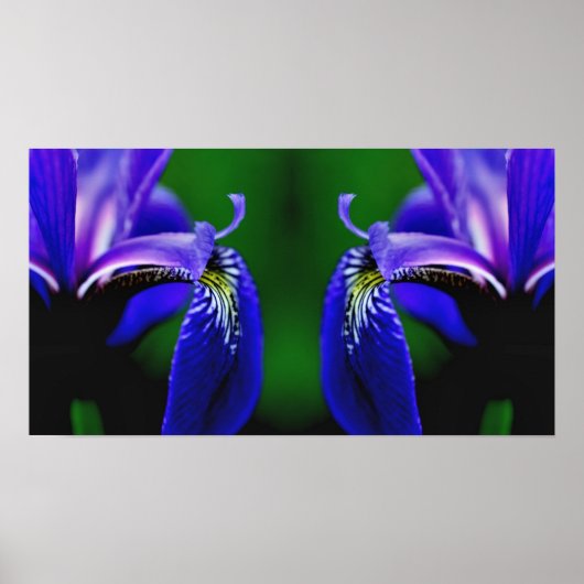 Blauwe Vlag Iris Flower Petal Mirror Abstract Poster (Voorkant)