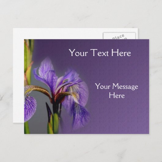 Blauwe vlag Iris-ventilator Briefkaart (Voorkant / Achterkant)