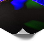 Blauwe vlag Iris ventilator Petal Sluiten Poster (Hoek)