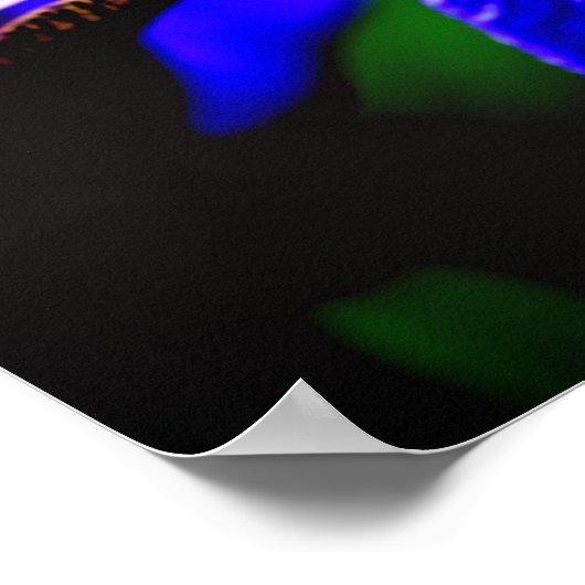 Blauwe vlag Iris ventilator Petal Sluiten Poster (Hoek)