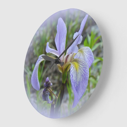 Blauwe vlag - Wild Iris Grote Klok (Hoek)