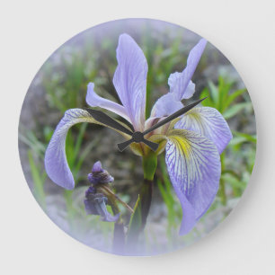 Blauwe vlag - Wild Iris Grote Klok