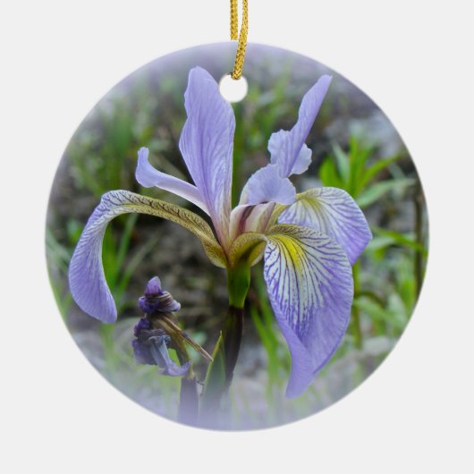 Blauwe vlag - Wilde Iris Keramisch Ornament (Voorkant)