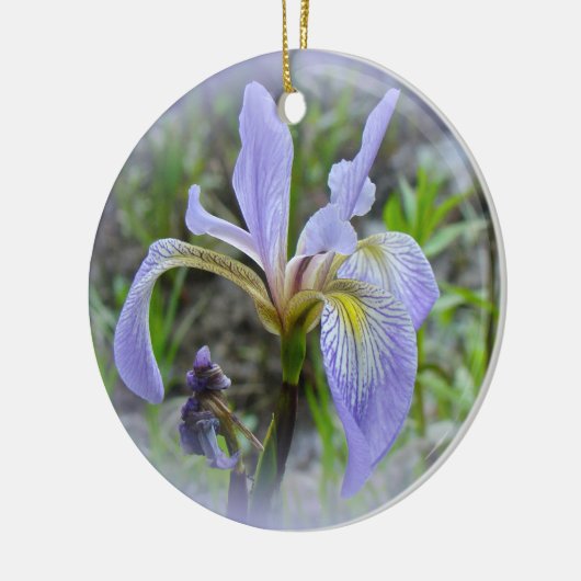 Blauwe vlag - Wilde Iris Keramisch Ornament (Links)