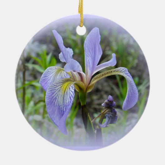 Blauwe vlag - Wilde Iris Keramisch Ornament (Achterkant)