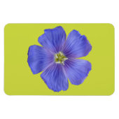 Blauwe vlas #1 magneet (Horizontaal)