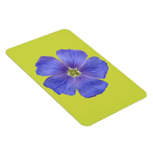 Blauwe vlas #1 magneet (Rechterzijde)