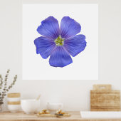 Blauwe vlas #1 poster (Keuken)