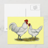 Blauwe vleeskuikens briefkaart (Voorkant / Achterkant)