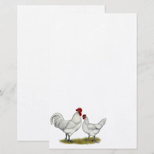 Blauwe vleeskuikens briefpapier (Voorkant / Achterkant)