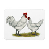 Blauwe vleeskuikens magneet (Horizontaal)