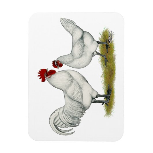 Blauwe vleeskuikens magneet (Verticaal)