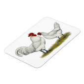 Blauwe vleeskuikens magneet (Linkerzijde)