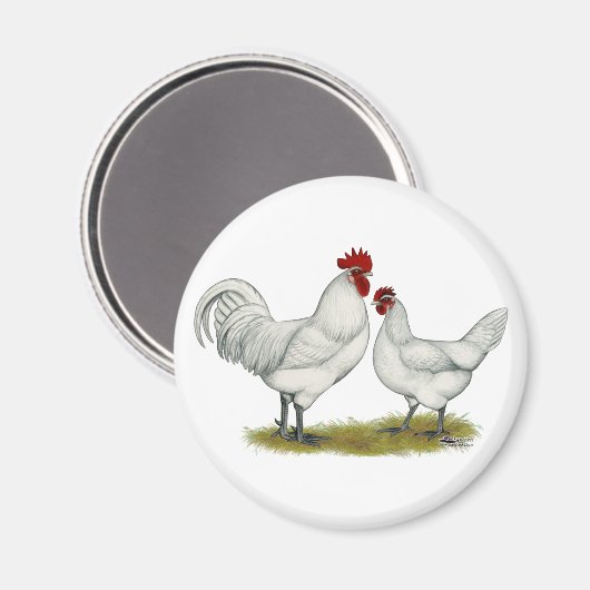 Blauwe vleeskuikens magneet (Voorkant / Achterkant)