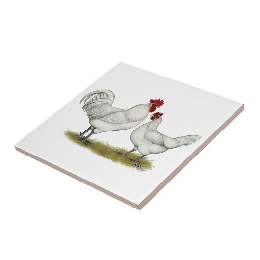 Blauwe vleeskuikens tegeltje (Zijkant)