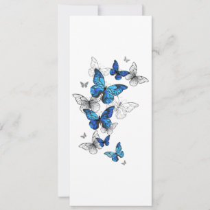Blauwe Vliegende Vlinders Morpho Aankondiging