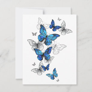 Blauwe Vliegende Vlinders Morpho Aankondiging
