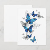Blauwe Vliegende Vlinders Morpho Aankondiging (Voorkant / Achterkant)