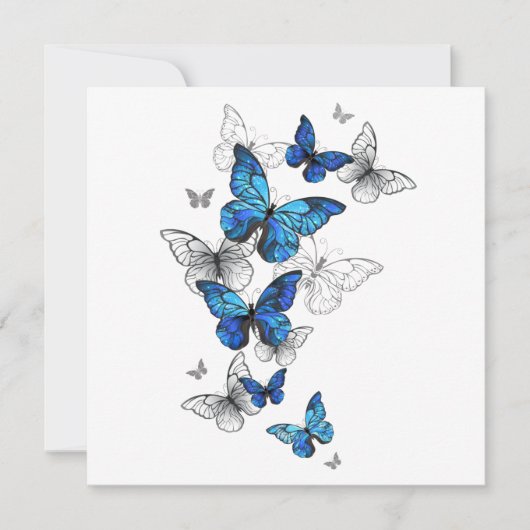 Blauwe Vliegende Vlinders Morpho Aankondiging (Voorkant)
