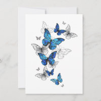 Blauwe Vliegende Vlinders Morpho
