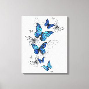 Blauwe Vliegende Vlinders Morpho Canvas Afdruk