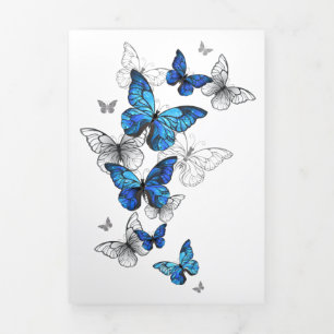 Blauwe Vliegende Vlinders Morpho Drieluik Aankondiging