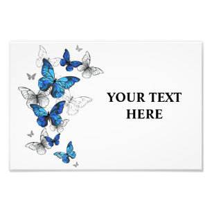 Blauwe Vliegende Vlinders Morpho Foto Afdruk