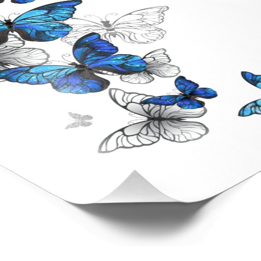 Blauwe Vliegende Vlinders Morpho Foto Afdruk (Hoek)