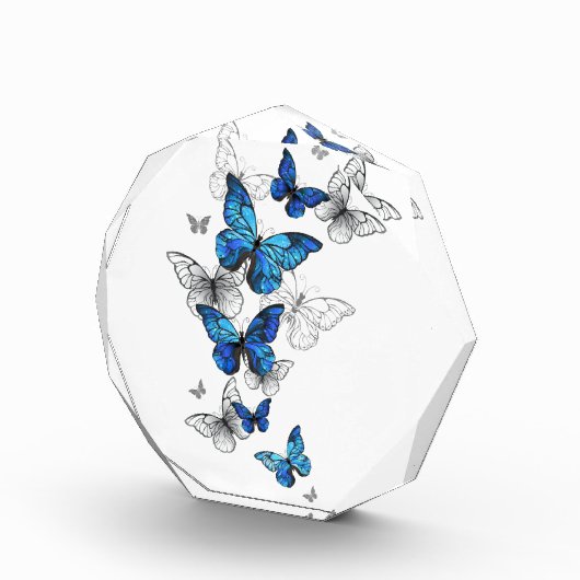 Blauwe Vliegende Vlinders Morpho Fotoblokken (Rechts)