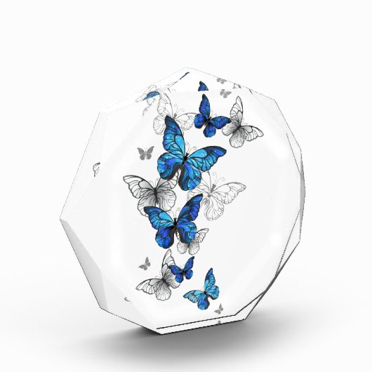 Blauwe Vliegende Vlinders Morpho Fotoblokken (Links)