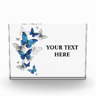Blauwe Vliegende Vlinders Morpho Fotoblokken