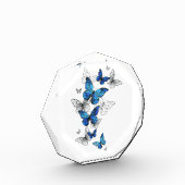 Blauwe Vliegende Vlinders Morpho Fotoblokken (Links)