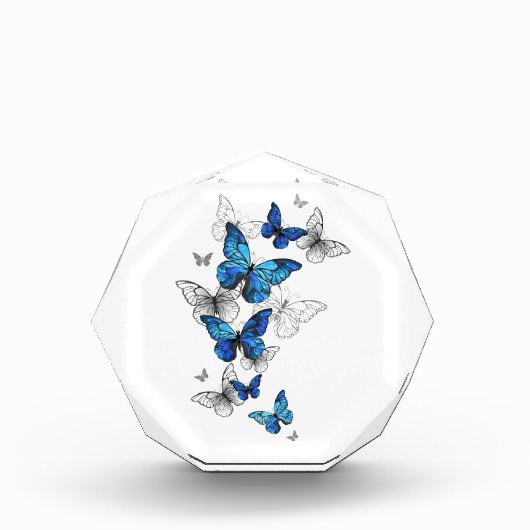 Blauwe Vliegende Vlinders Morpho Fotoblokken (Voorkant)