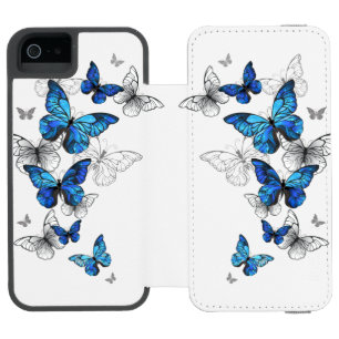 Blauwe Vliegende Vlinders Morpho