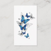 Blauwe Vliegende Vlinders Morpho Informatiekaartje (Voorkant)