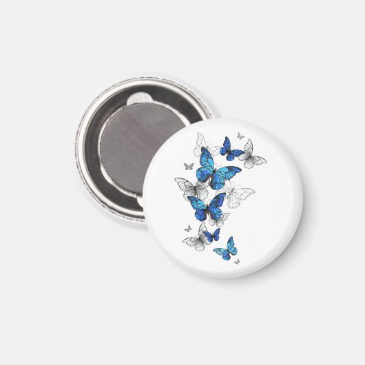 Blauwe Vliegende Vlinders Morpho Magneet (Voorkant / Achterkant)