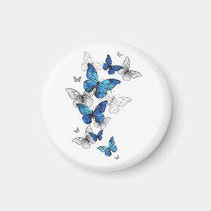 Blauwe Vliegende Vlinders Morpho Magneet