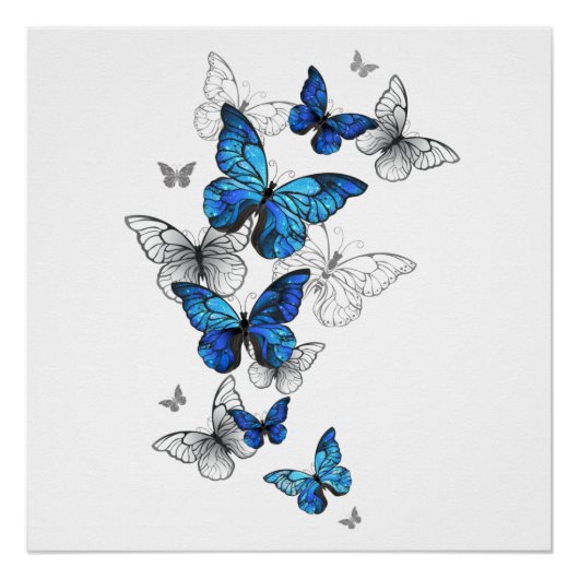 Blauwe Vliegende Vlinders Morpho Perfect Poster (Voorkant)