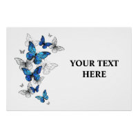 Blauwe Vliegende Vlinders Morpho