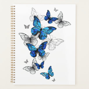 Blauwe Vliegende Vlinders Morpho Planner