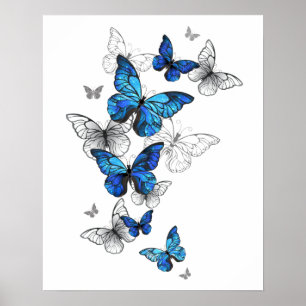 Blauwe Vliegende Vlinders Morpho Poster