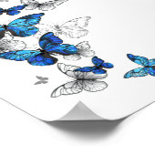 Blauwe vliegende vlinders Morpho Poster (Hoek)