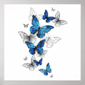 Blauwe Vliegende Vlinders Morpho Poster (Voorkant)