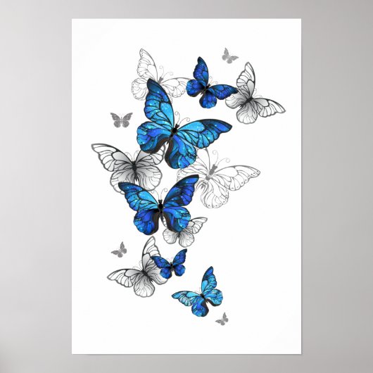 Blauwe Vliegende Vlinders Morpho Poster (Voorkant)