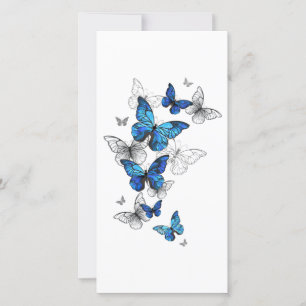 Blauwe Vliegende Vlinders Morpho Save The Date