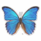 Blauwe vlinder 2 sticker (Voorkant)