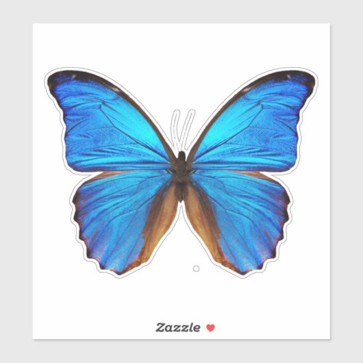 Blauwe vlinder 2 sticker (Vel)